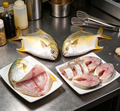 Golden Pomfret